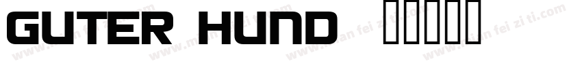 Guter Hund字体转换